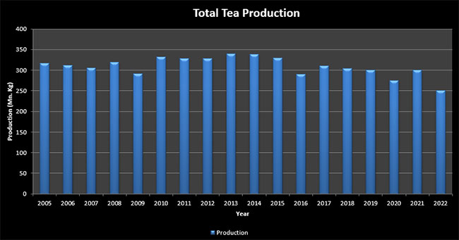 Statistics, Sri Lanka, Total Tea Production 2005 to 2019