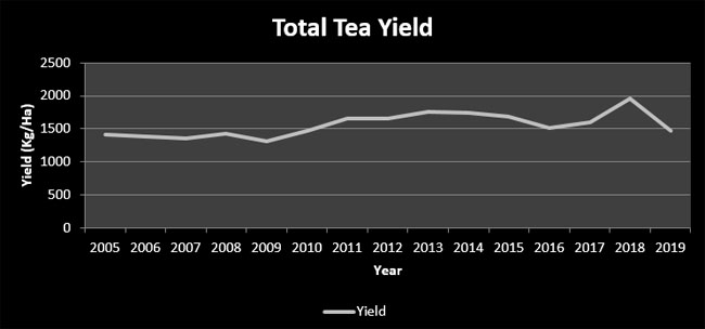 Statistics, Sri Lanka, Total Tea Yield 2005 to 2019