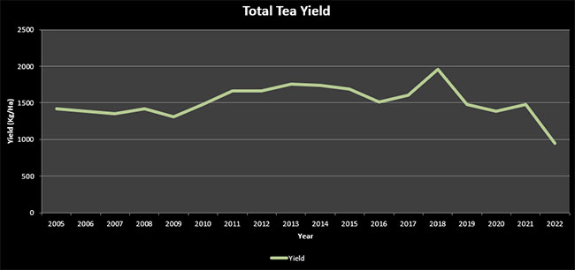 Statistics, Sri Lanka, Total Tea Yield 2005 to 2019